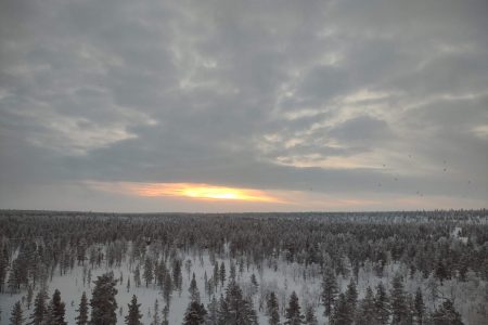 IMG_20220202_150430631